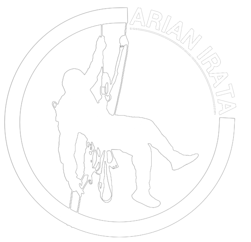 آرین ایراتا